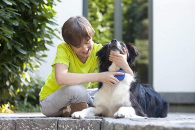 Szczotka dla zwierząt z naturalnym odświeżaczem